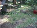 Zoo Cottbus 048